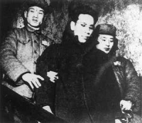 点击图片查看详情