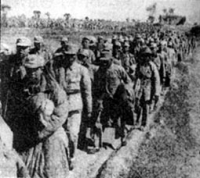 点击图片查看详情