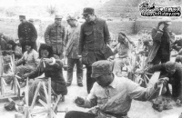 点击图片查看详情