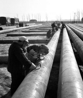 点击图片查看详情