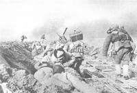 點擊圖片查看詳情