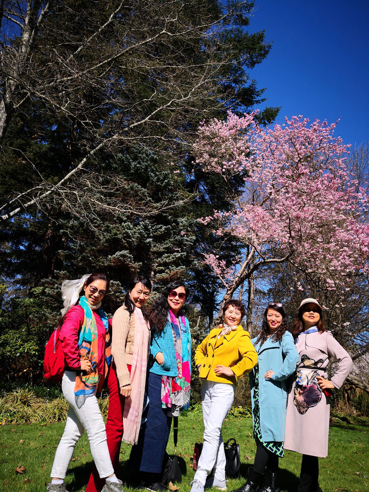 2019年3月30日，樱花美人。左起：卫九如，燕茹，冯玉，李影，竹笛，莫青。