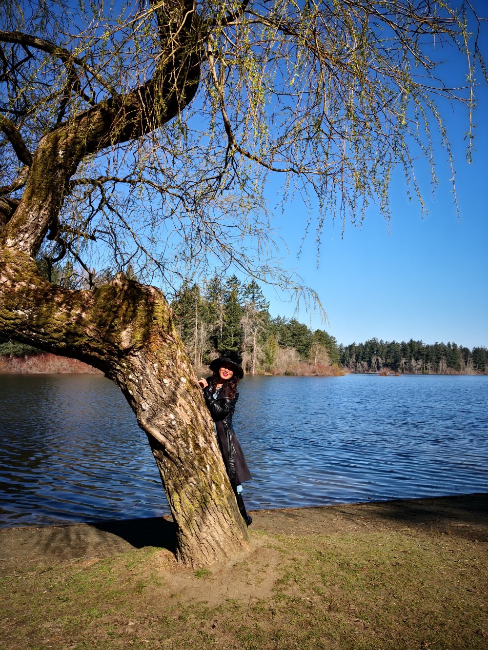 2019年3月30日早晨，鹿湖畔，娇柳，竹笛。