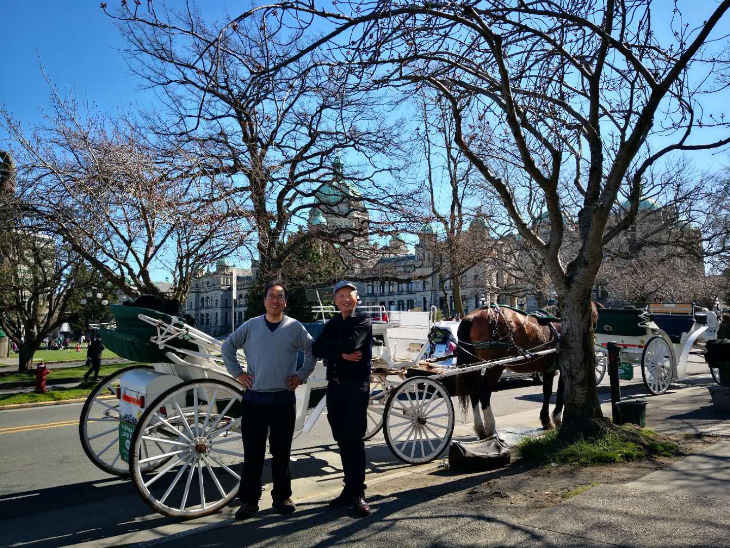 2019年3月30日下午，维多利亚市内港，马车。和平岛与沈家庄。