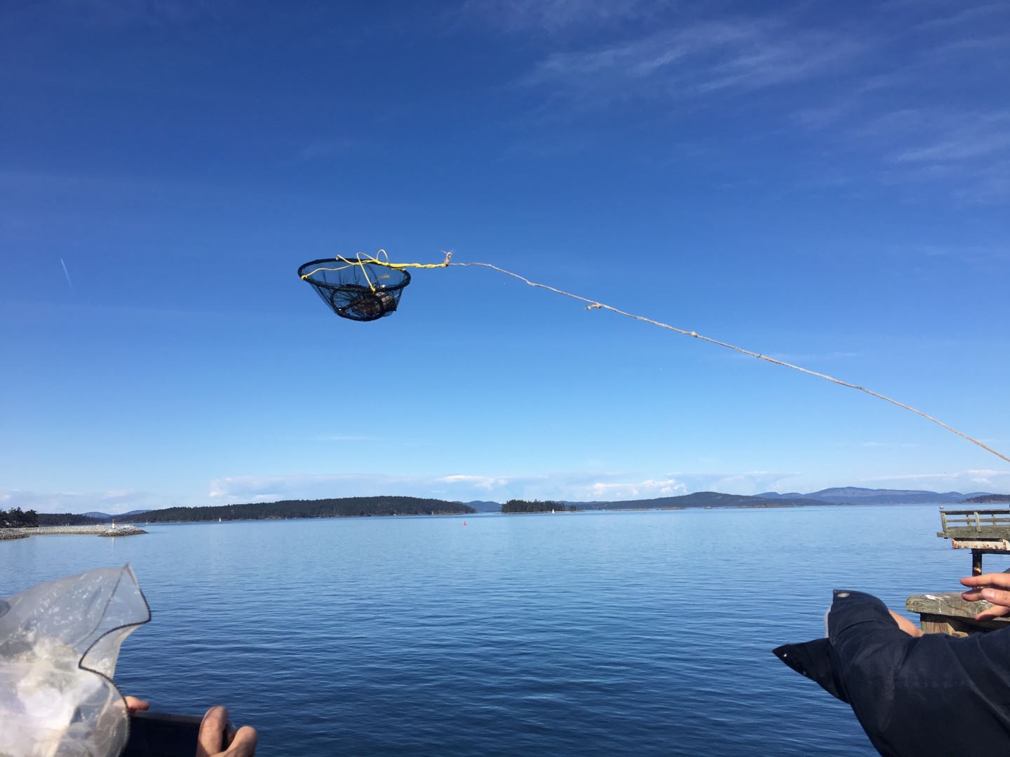 2019年3月29日下午，悉尼镇的码头木桥。甩向高空的钓螃蟹的网笼。