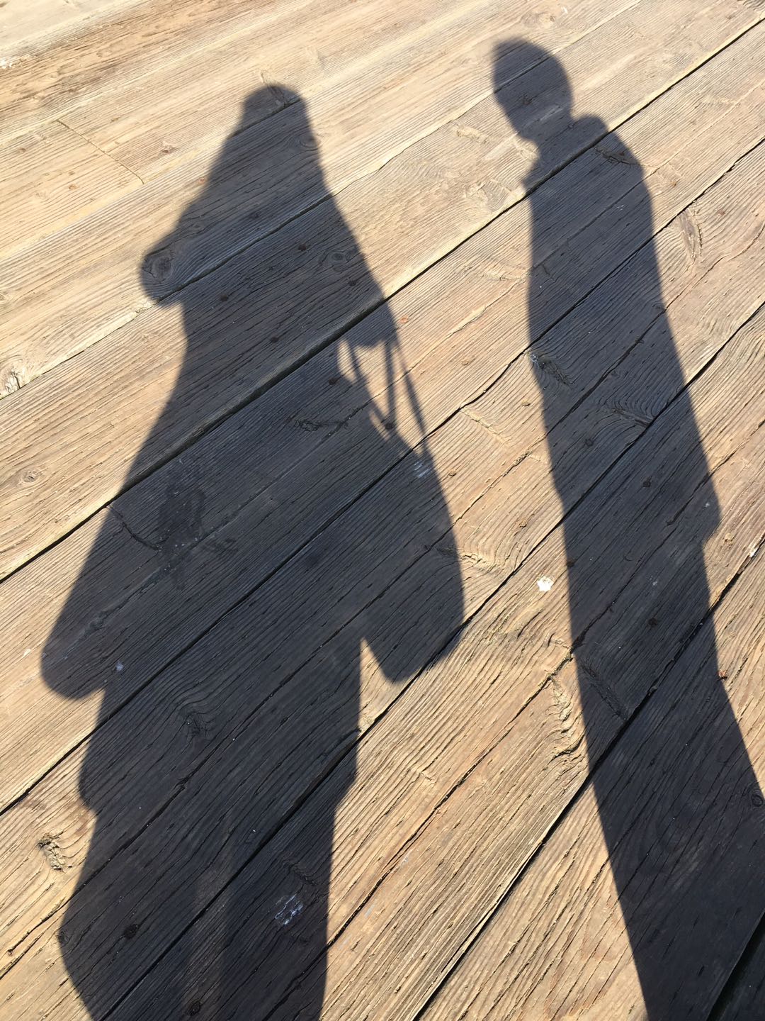 2019年3月29日下午，悉尼镇的码头木桥。影子。