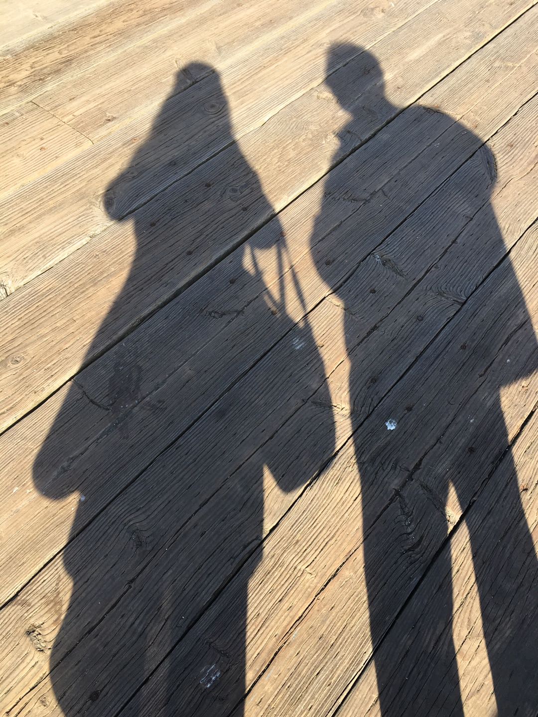 2019年3月29日下午，悉尼镇的码头木桥。影子。