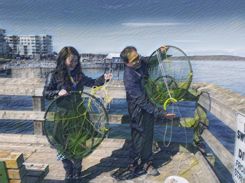 2019年3月29日下午，悉尼镇的码头木桥。竹笛（左），和平岛。