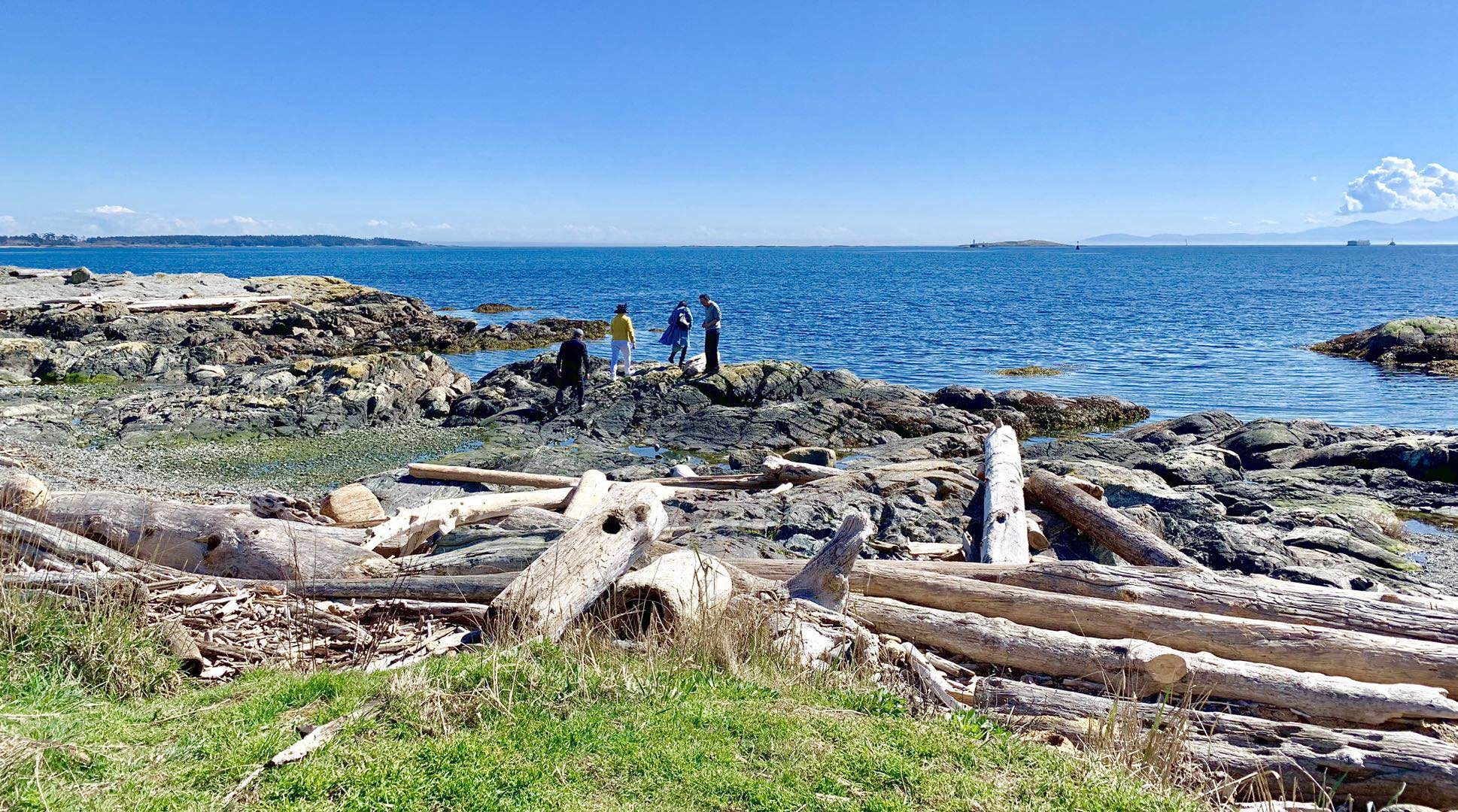 2019年3月30日下午，牛角公园（Cattle Point）。左起：沈家庄，李影，竹笛，和平岛。