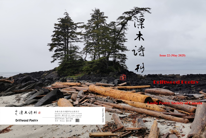 《漂木诗刊》封面