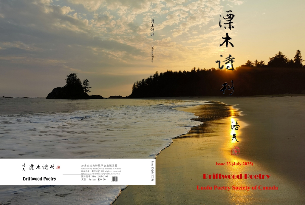 《漂木诗刊》封面