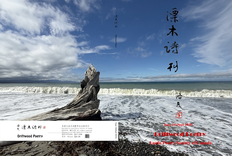 《漂木诗刊》封面