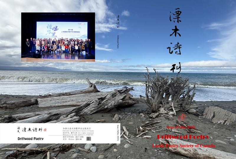 《漂木诗刊》封面
