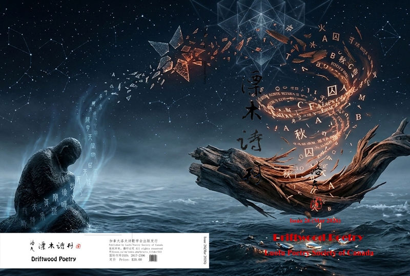 《漂木诗刊》封面