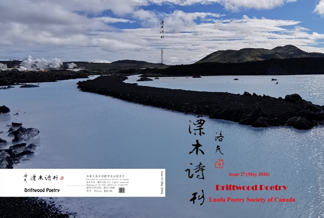《北美枫》封面 《漂木诗刊》封面