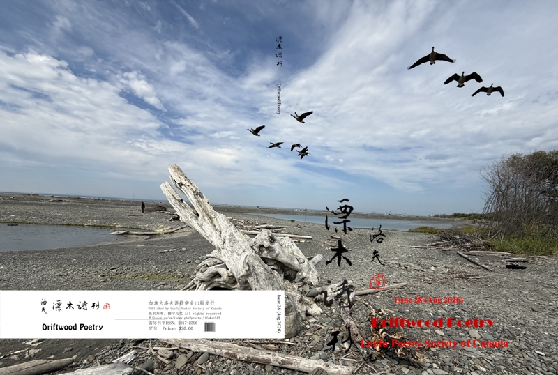 《漂木诗刊》封面