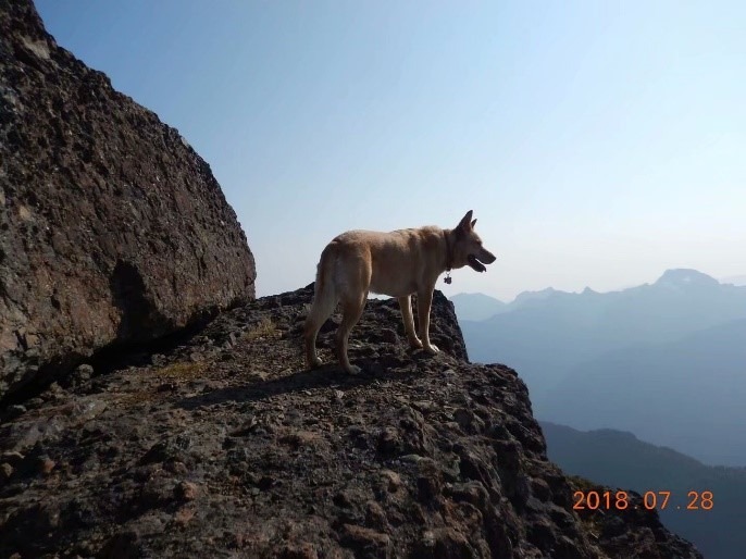 A person standing on a rocky hill
Description automatically generated, Picture