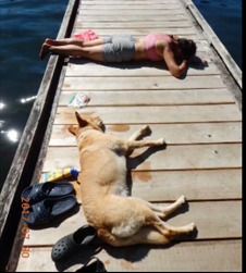 A dog tied to a wooden dock over some water
Description automatically generated, Picture