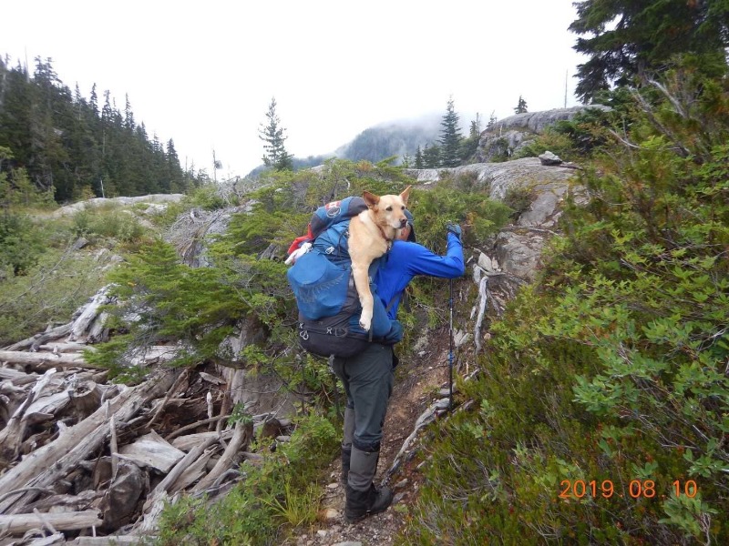 A person standing on a rocky hill
Description automatically generated, Picture