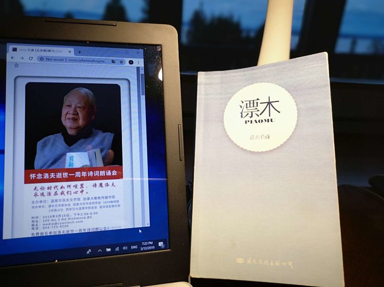 2019年3月8日，发布新闻《凝固的时间，永恒的追思-怀念洛夫逝世一周年诗词朗诵会》之后，研读《漂木》